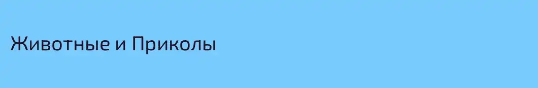 Животные и Приколы
